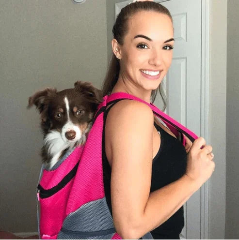 Summer Dog Backpack