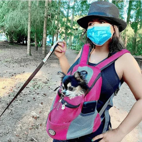 Summer Dog Backpack