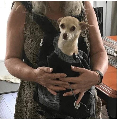 Summer Dog Backpack