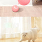 Smart Ball Interactive Cat Toy