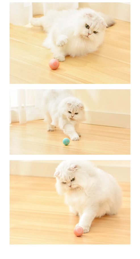 Smart Ball Interactive Cat Toy