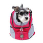 Summer Dog Backpack